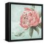 Pink Peonies II-Patricia Pinto-Framed Stretched Canvas