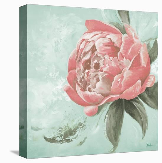 Pink Peonies II-Patricia Pinto-Stretched Canvas