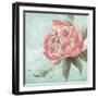 Pink Peonies II-Patricia Pinto-Framed Art Print