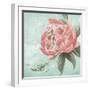 Pink Peonies II-Patricia Pinto-Framed Art Print