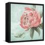 Pink Peonies II-Patricia Pinto-Framed Stretched Canvas