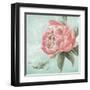 Pink Peonies II-Patricia Pinto-Framed Art Print