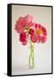 Pink Peonies in Vase II-Karyn Millet-Framed Stretched Canvas