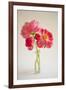 Pink Peonies in Vase II-Karyn Millet-Framed Photographic Print