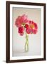 Pink Peonies in Vase II-Karyn Millet-Framed Photographic Print