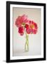 Pink Peonies in Vase II-Karyn Millet-Framed Photographic Print