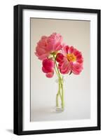 Pink Peonies in Vase II-Karyn Millet-Framed Photographic Print