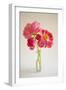 Pink Peonies in Vase II-Karyn Millet-Framed Photographic Print