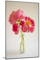 Pink Peonies in Vase II-Karyn Millet-Mounted Photographic Print