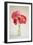 Pink Peonies in Vase II-Karyn Millet-Framed Premium Photographic Print