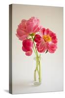 Pink Peonies in Vase II-Karyn Millet-Stretched Canvas