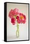 Pink Peonies in Vase II-Karyn Millet-Framed Stretched Canvas