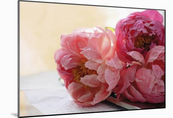 Pink Peonies-null-Mounted Poster
