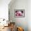 Pink Peonies-Sarah Caswell-Framed Giclee Print displayed on a wall