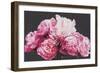 Pink Peonies-Sarah Caswell-Framed Giclee Print