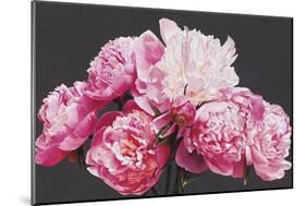 Pink Peonies-Sarah Caswell-Mounted Giclee Print