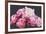 Pink Peonies-Sarah Caswell-Framed Giclee Print