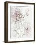 Pink Peony Blossom I-Asia Jensen-Framed Art Print