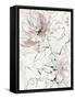 Pink Peony Blossom II-Asia Jensen-Framed Stretched Canvas