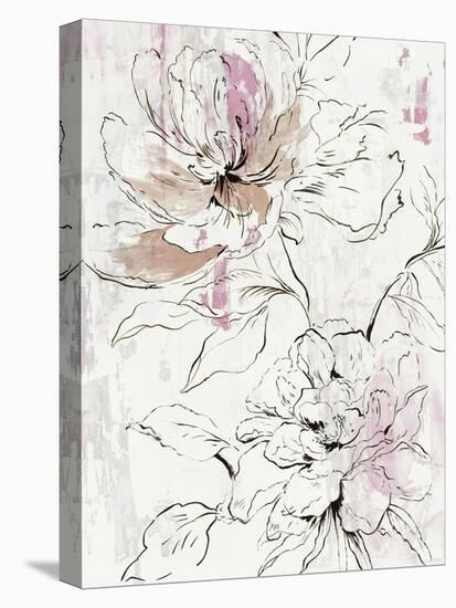 Pink Peony Blossom II-Asia Jensen-Stretched Canvas