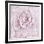 Pink Peony Flower-Cora Niele-Framed Photographic Print