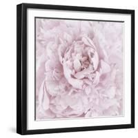 Pink Peony Flower-Cora Niele-Framed Photographic Print