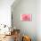 Pink Peony French Macaroon-Urban Epiphany-Mounted Premium Giclee Print displayed on a wall