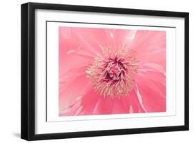 Pink Peony French Macaroon-Urban Epiphany-Framed Art Print