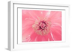 Pink Peony French Macaroon-Urban Epiphany-Framed Art Print