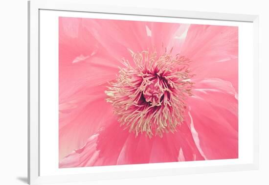 Pink Peony French Macaroon-Urban Epiphany-Framed Art Print