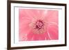 Pink Peony French Macaroon-Urban Epiphany-Framed Art Print