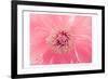 Pink Peony French Macaroon-Urban Epiphany-Framed Art Print