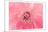 Pink Peony French Macaroon-Urban Epiphany-Mounted Art Print