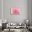 Pink Peony French Macaroon-Urban Epiphany-Framed Stretched Canvas displayed on a wall