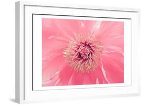 Pink Peony French Macaroon-Urban Epiphany-Framed Art Print