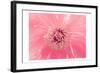 Pink Peony French Macaroon-Urban Epiphany-Framed Art Print