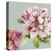 Pink Peony I-Asia Jensen-Stretched Canvas