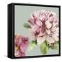 Pink Peony I-Asia Jensen-Framed Stretched Canvas