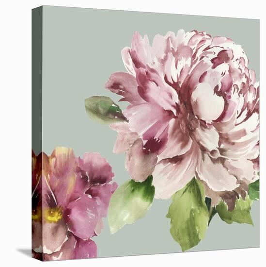 Pink Peony I-Asia Jensen-Stretched Canvas