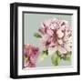 Pink Peony I-Asia Jensen-Framed Art Print