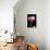 Pink Peony II-Tammy Putman-Photographic Print displayed on a wall
