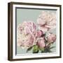 Pink Peony II-Asia Jensen-Framed Art Print