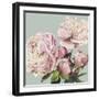 Pink Peony II-Asia Jensen-Framed Art Print