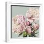 Pink Peony II-Asia Jensen-Framed Art Print