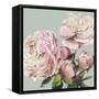 Pink Peony II-Asia Jensen-Framed Stretched Canvas