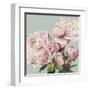 Pink Peony II-Asia Jensen-Framed Art Print