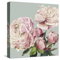 Pink Peony II-Asia Jensen-Stretched Canvas