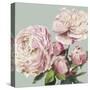 Pink Peony II-Asia Jensen-Stretched Canvas