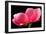 Pink Peony III-Tammy Putman-Framed Photographic Print