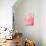 Pink Peony III-Karyn Millet-Photographic Print displayed on a wall